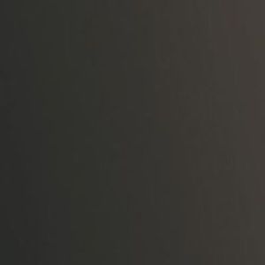 Meet your Posher, Baylee